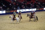 Quadrille - 00169